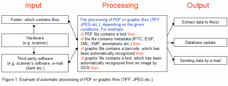 Software development for document automation. Automatic image processing.